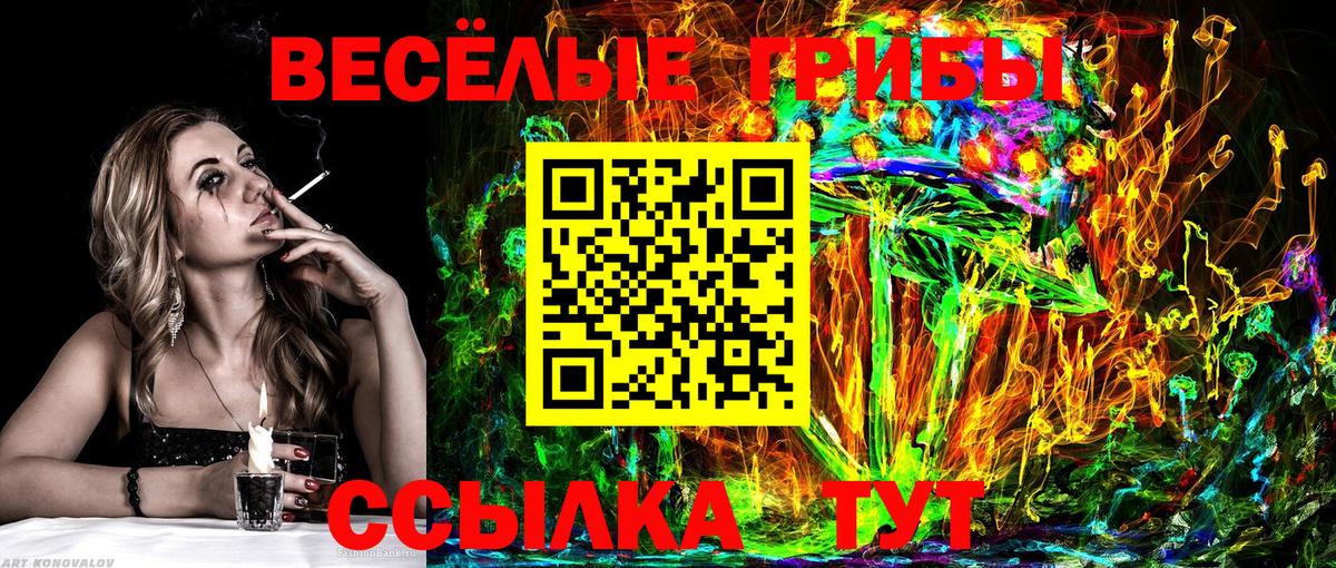 Галлюциногенные грибы мицелий  купить закладку  Карталы  Вход с VPN 